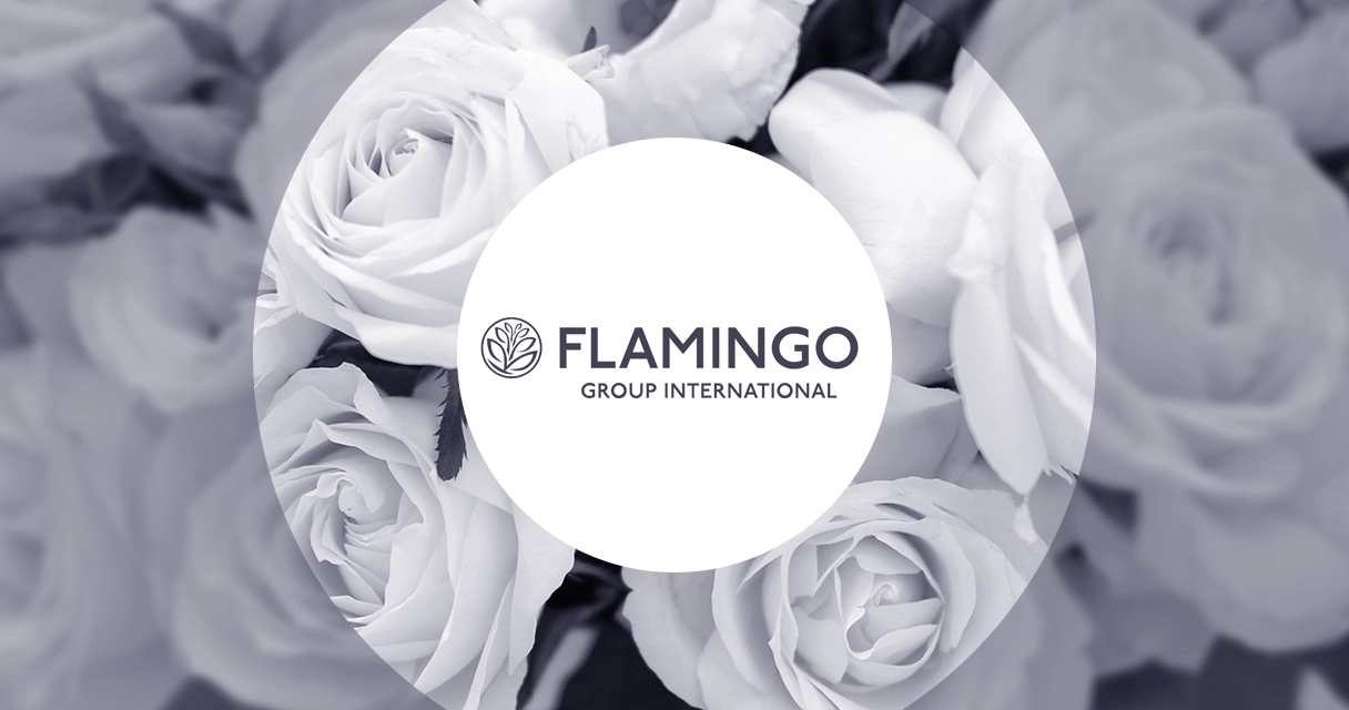 flamingo group international